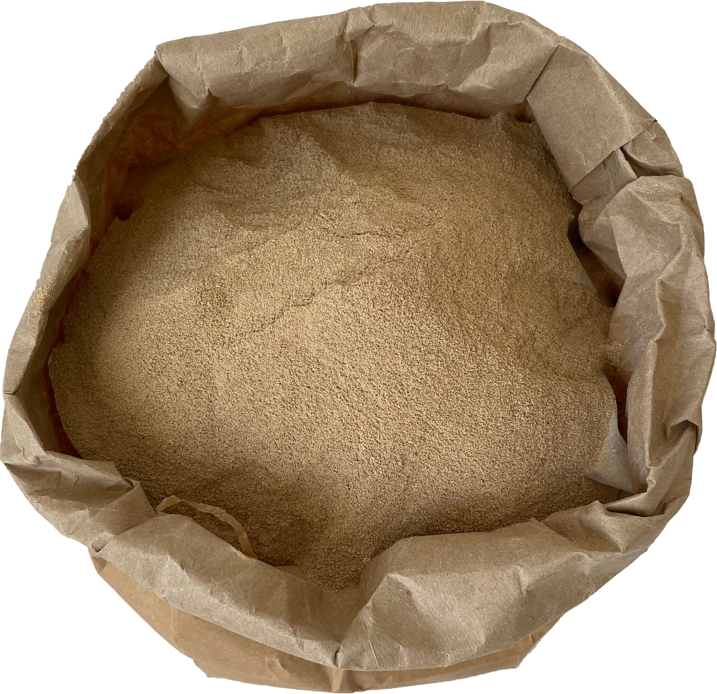 SAC POLS 1
